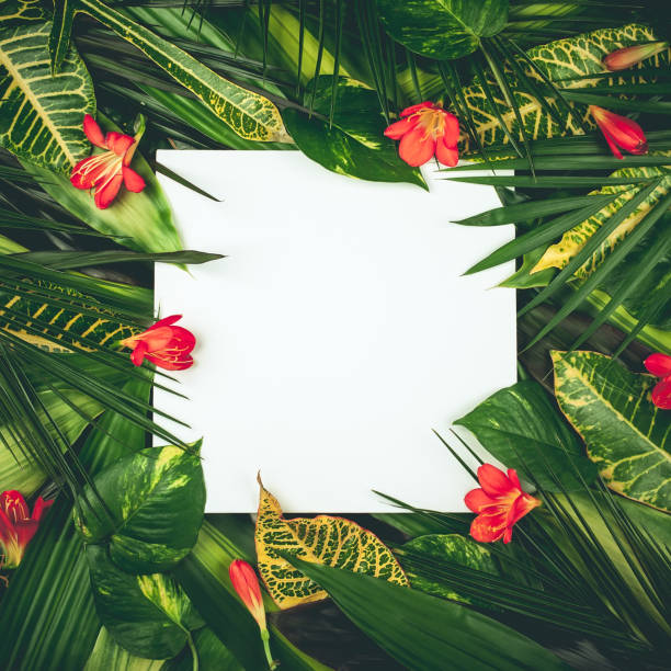 istock flowers and leaves 1141021022