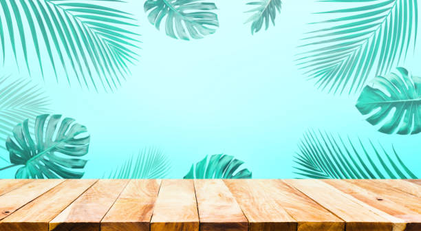 summer and nature product display with wood table counter on palm leaf in vibrant color background - merchandise multi colored arrangement blue imagens e fotografias de stock