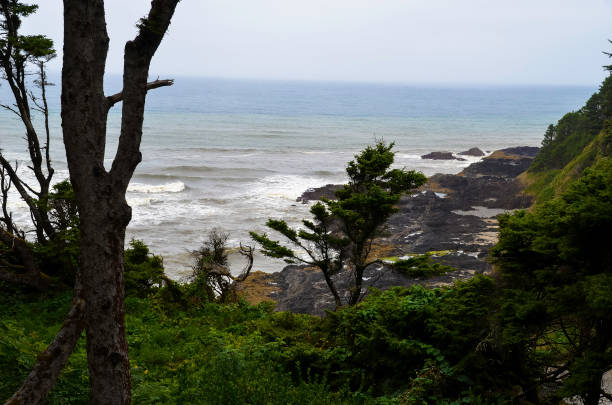 istock Pacific ocean and Oregon coast/beach - sand,, surf,, and dense forests 1141021797
