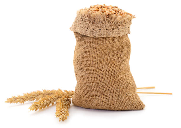 istock Sack with grains and ear of wheat. 1141022579