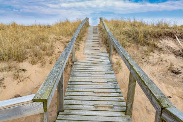 istock Wooden foothpath over sand dunes 1141023104