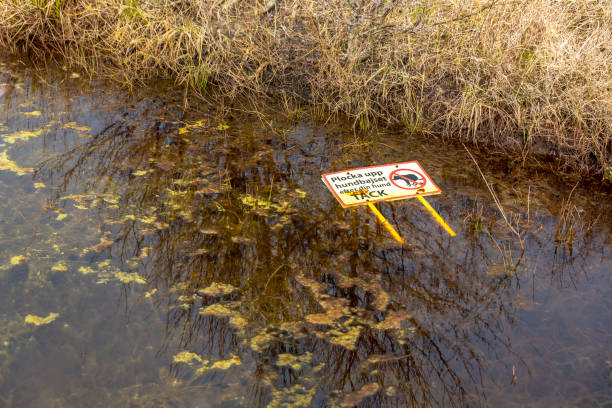 istock Pollution, sign in a small pond 1141023201