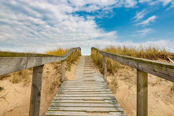istock Wooden foothpath over sand dunes 1141024065