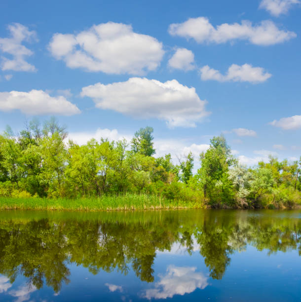 istock beautiful summer river landscape 1141024971