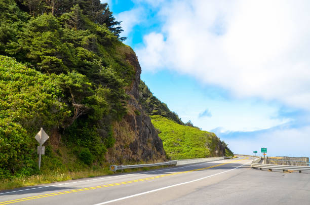 istock Pacific ocean and Oregon coast/beach - sand,, surf,, and dense forests 1141026137