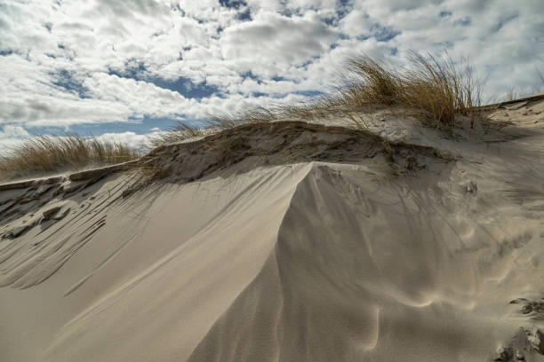 istock Close-Up to Dunes at Domburg Beach with clody Sky / Netherlands 1141026585