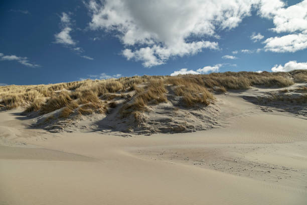 istock Nice pattern in the Sand at Domburg Beach / Netherlands 1141026702