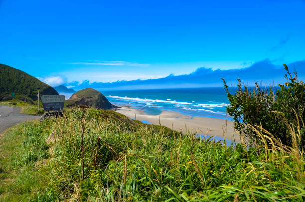 istock Pacific ocean and Oregon coast/beach - sand,, surf,, and dense forests 1141026719