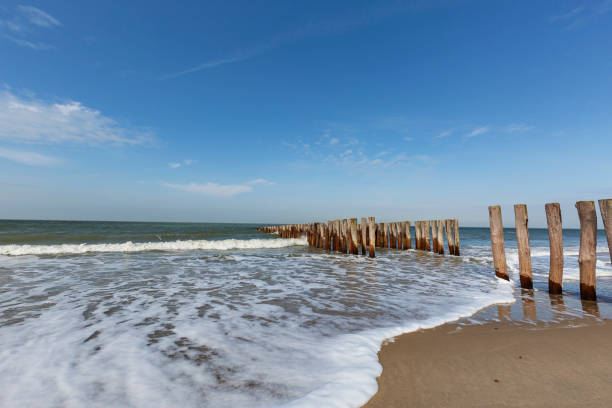 North Sea at High Tide at Domburg Beach at Springtime / Netherlands
