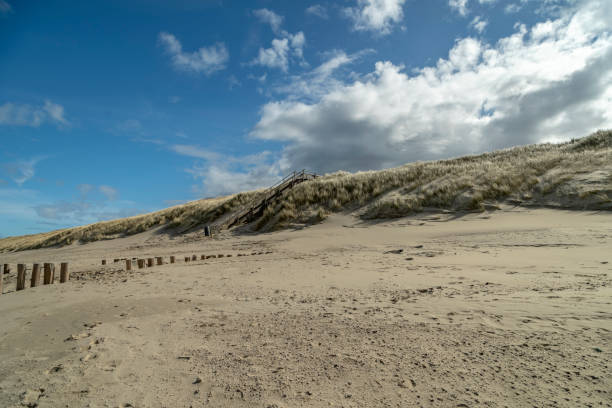 istock View to lonely Dunes and Beach at Domburg /  Netherlands 1141027932