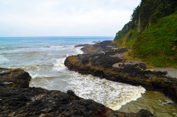 istock Pacific ocean and Oregon coast/beach - sand,, surf,, and dense forests 1141028162