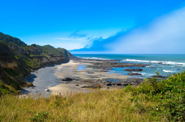 istock Pacific ocean and Oregon coast/beach - sand,, surf,, and dense forests 1141028401