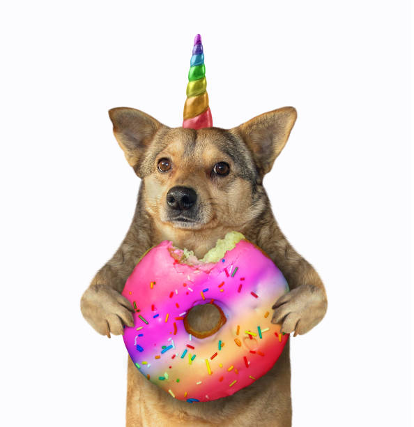 istock Dog unicorn eating a color donut 2 1141029389