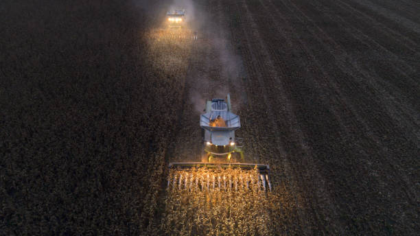 vista aérea de un grupo de cosechadoras que cosechan la fierda agricultiral después del atardecer. verano. equipos agrícolas en tierras cultivadas. noche. trabajando hasta tarde. - tractor green farm corn fotografías e imágenes de stock