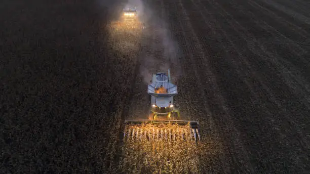 Drone Point of View. Agricultural Activity. Agricultural Combine Harvester Working in a Vast Corn Field Working at Night and Gathering the Crop. Illuminated