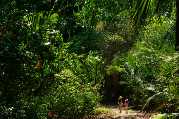 familienurlaub in einem tropischen klima - corcovado stock-fotos und bilder