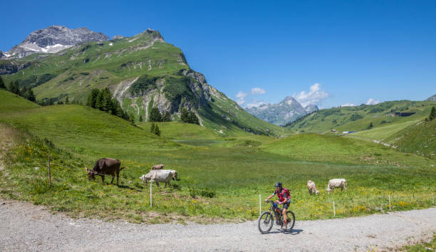 istock Mountainbiking the  Arlberg mountains 1141034490