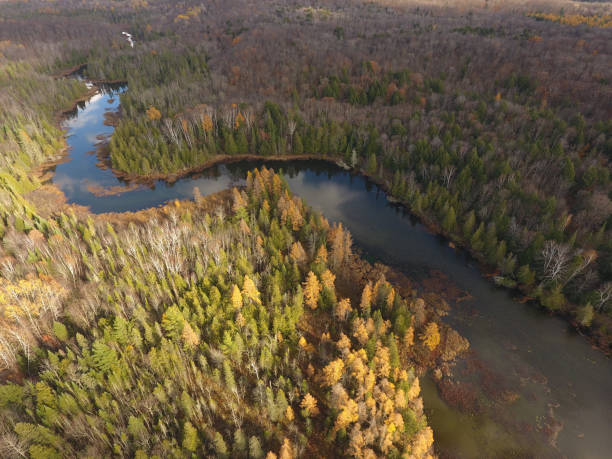 istock Northern Wisconsin Autumnal River From Above 1141034518