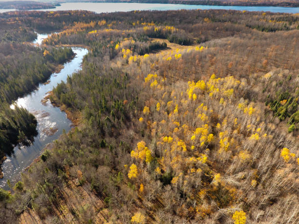 istock Northern Wisconsin Autumnal River From Above 1141034520