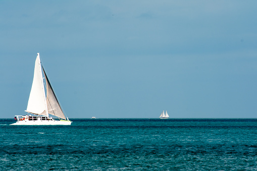 White catamaran sailboat sailing on open blue water with small island in background.