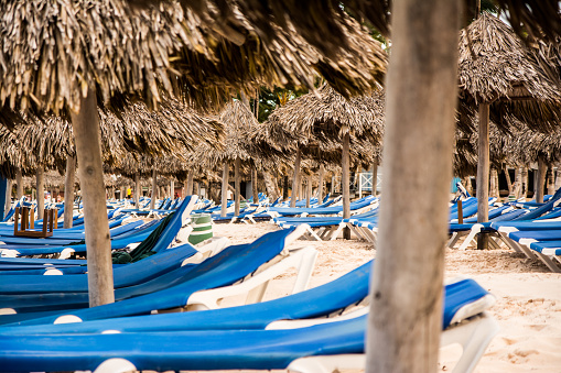 lines of empty, blue beach lounge chairs with lines of straw kiosks on the beach in punta cana, dominican republic