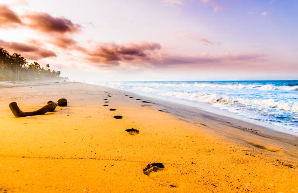 vista em foodsteps e por do sol na praia por tayrona em colômbia - sunset beach flash - fotografias e filmes do acervo