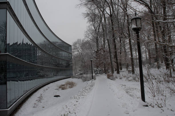 istock Baltimore City - Winter Snow 1141038352