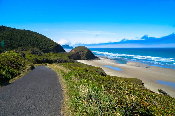 istock Pacific ocean and Oregon coast/beach - sand,, surf,, and dense forests 1141041240