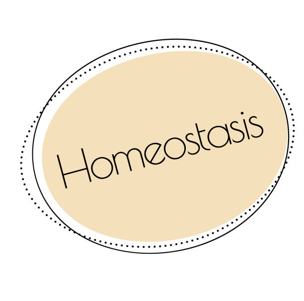 Homeostasis Clipart Vector PNG , SVG, EPS, PSD, AI