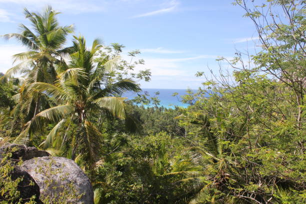 istock seychelles private island beach 1141042991