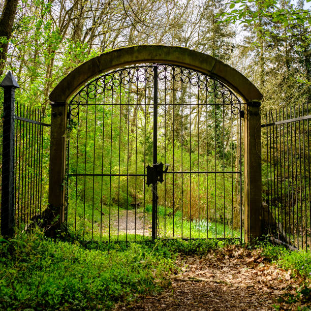 istock Closed gate to a wild romantic spring garden 1141043090