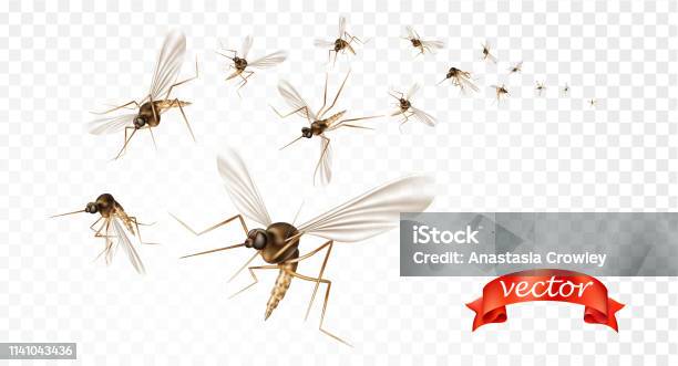 Insect Mosquito Gnat And Pest Illustration For Repellent Oil Spray And Patches Ads Poster Flying Mosquitoes Flock In Air Isolated Promo Viruses And Diseases Spreading Medical Vector Concept Stock Illustration - Download Image Now