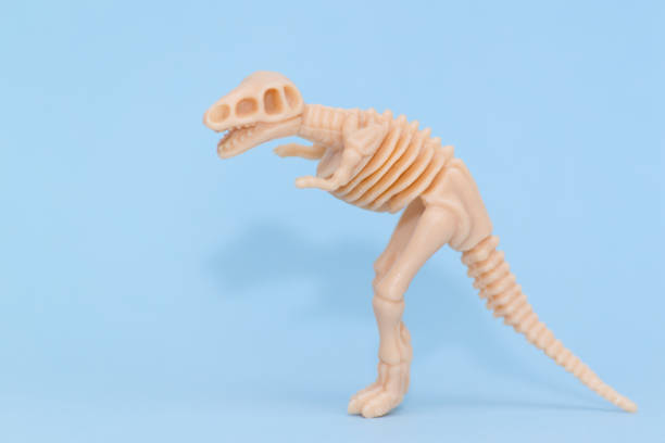 istock Plastic toy animal dinosaur skeleton on blue background. 1141045248