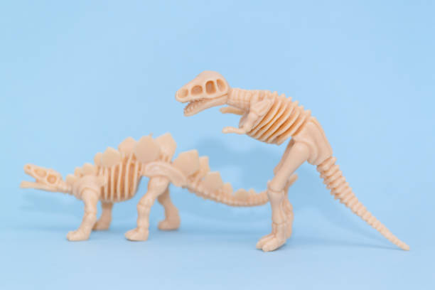 istock Plastic toy animal dinosaur skeleton on blue background. 1141045842
