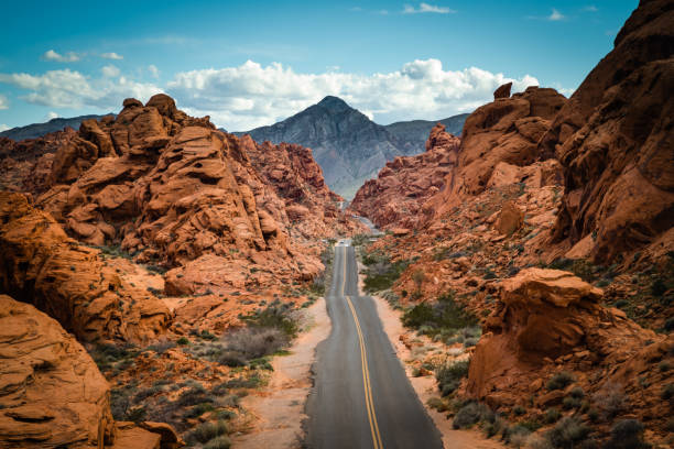 Valley of Fire Road Pic