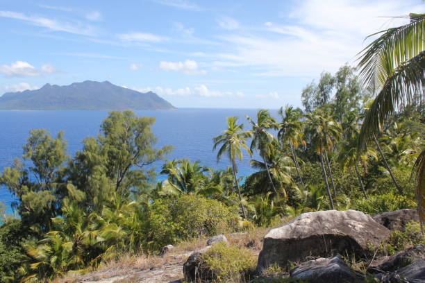 istock seychelles private island beach 1141047488