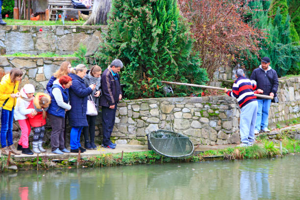 Man catching trout by nettle in pond. Fish farming. People watching man catching fish. Private trout farm. Curious tourists take pictures of trout caught on trout farm