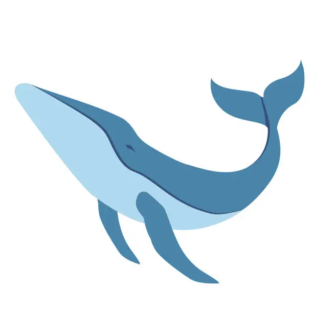 Vector illustration of blue whale flat illustration