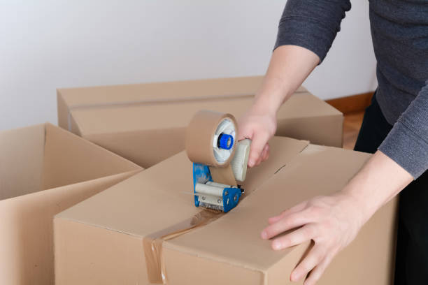 istock Man sealing a shipping cardboard box 1141052656