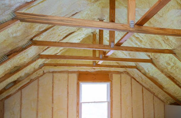 istock Insulation of attic with foam polyurea insulation cold barrier and insulation material 1141054440