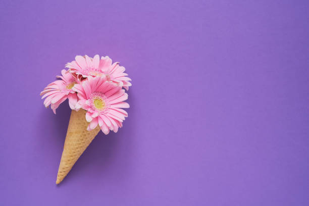 istock Ice cream cone with pink gerbera flowers on purple background. Copy space, top view. 1141055563