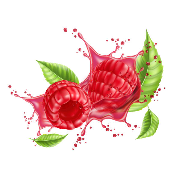 Raspberry Ripple Illustration 640+ Raspberry Swirl Stock Illustrations, Royalty-Free Vector Graphics ...