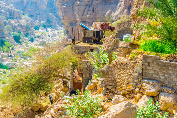 blick auf ein dorf in der wadi tiwi in oman. - tiwi stock-fotos und bilder