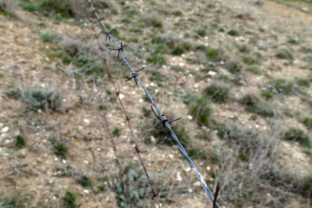 barbed wire mesh fence, field and barbed wire,