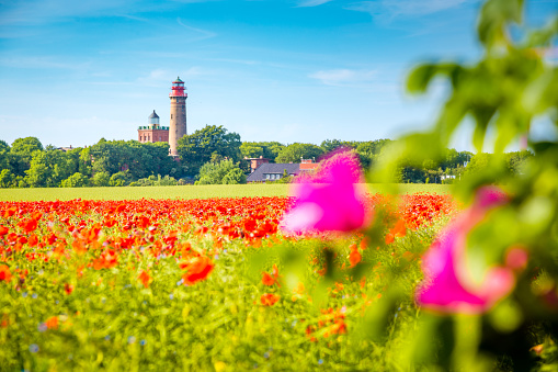 Kap Arkona lighthouse with red poppy flowers in summer, Ruegen, Ostsee, Germany