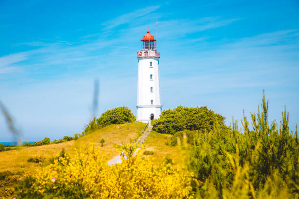 istock Lighthouse Dornbusch on the island Hiddensee, Ostsee, Germany 1141062164