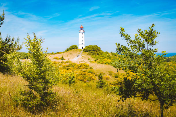 Classic view of famous Lighthouse Dornbusch on the beautiful island Hiddensee with blooming flowers in summer, Baltic Sea, Mecklenburg-Vorpommern, Germany