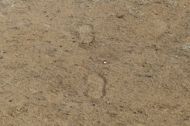 istock shoe print appeared in the soil, 1141062340
