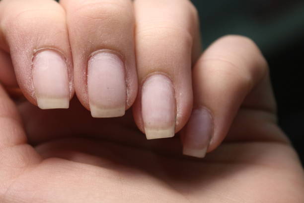 istock sexy manicure of nails 1141062454