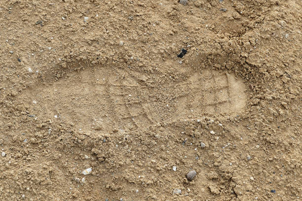 istock shoe print appeared in the soil, 1141062614